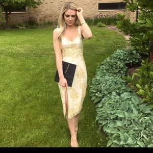 Gorgeous Dress the Population dress